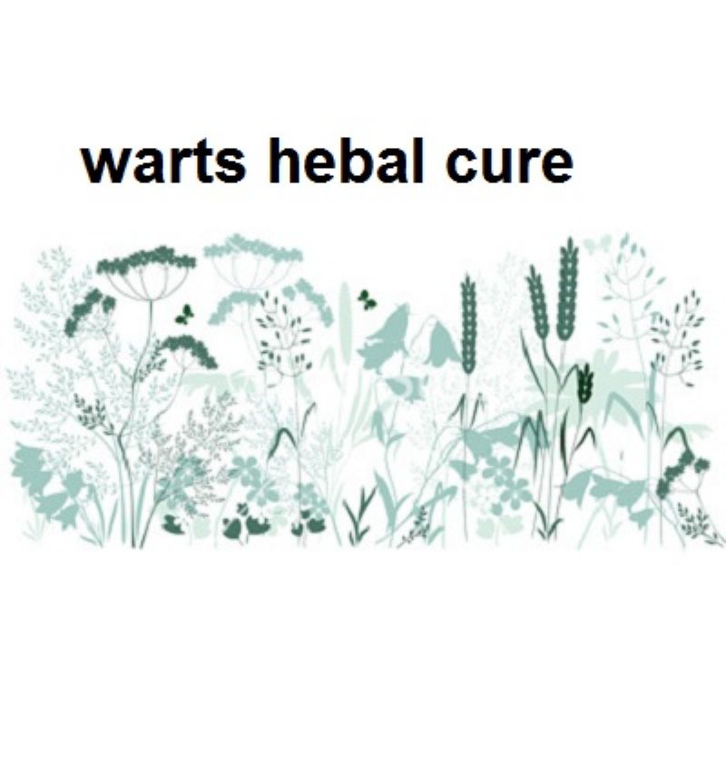 The Cure of Genital Warts, using herbal medicine
